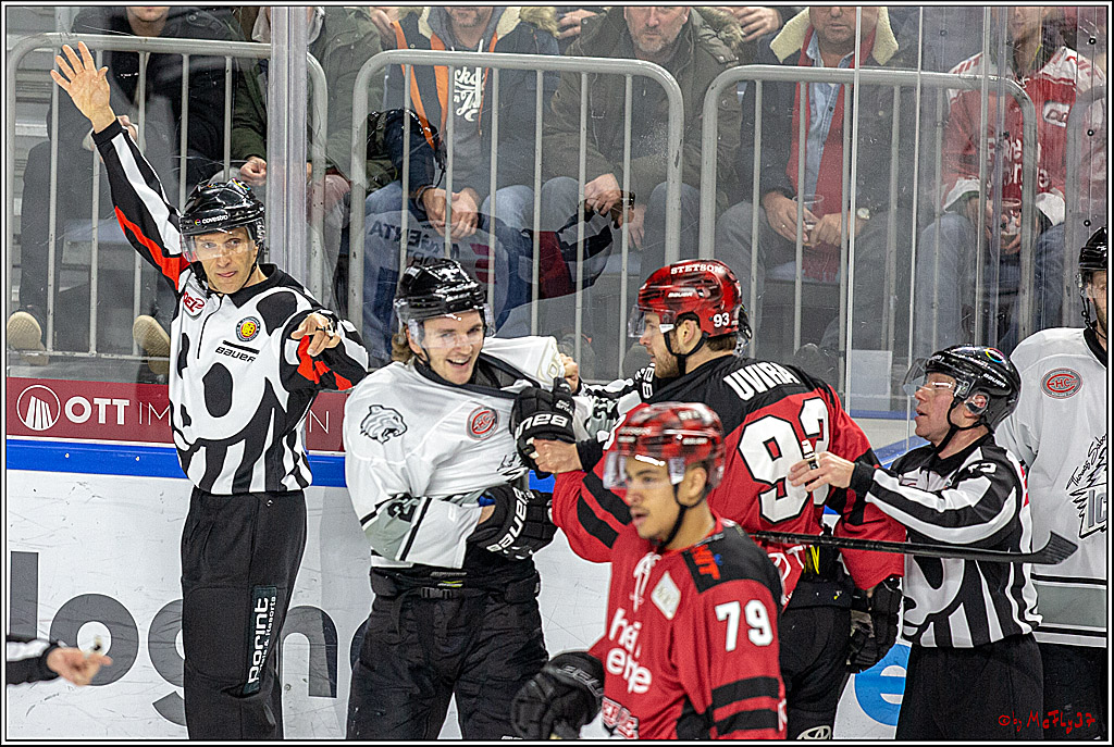 DEL; Koelner Haie - Thomas Sabo Ice Tigers Nuernberg, 19.02.2019